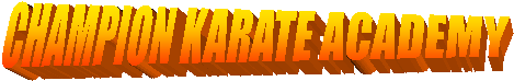 CHAMPION KARATE ACADEMY